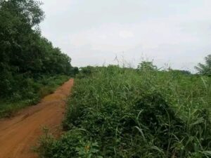 vendre parcelle à calavi zopah