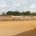 parcelle à vendre à tankpe calavi