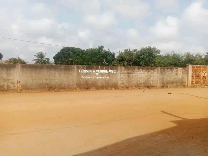 parcelle à vendre à tankpe calavi