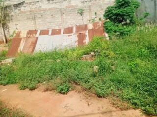 FB_IMG_17196687855558270