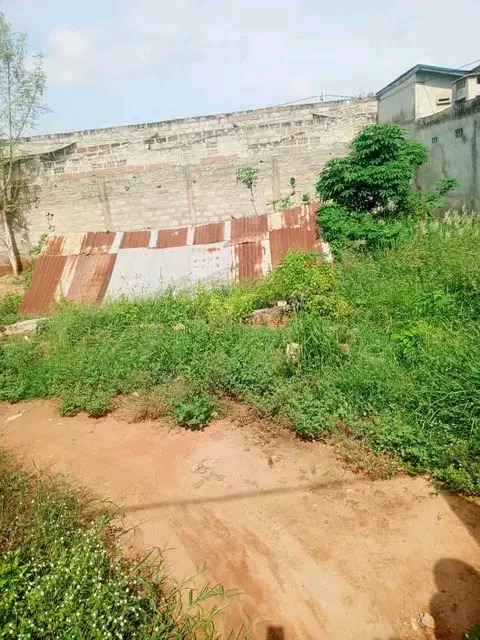 Parcelle à vendre à Zopah académie