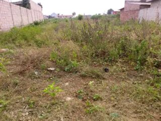 FB_IMG_17196696236024367