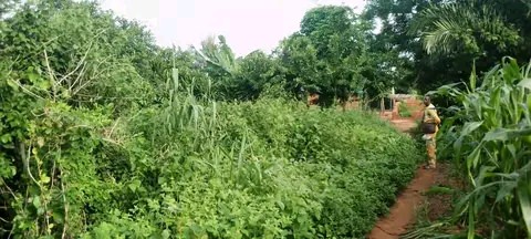 2 hectares à vendre Tori