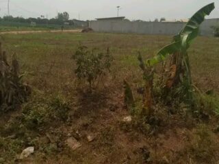 FB_IMG_17198611684366973