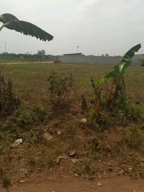 Parcelle à vendre Tokan bar JP