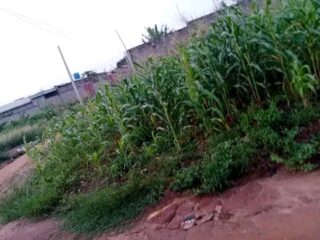 FB_IMG_171986122688953231