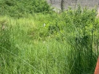 FB_IMG_17201877641289639-1