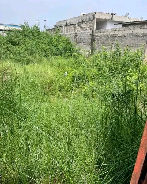 A vendre parcelle à Wadon Adjarra