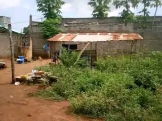 FB_IMG_17207946275763987