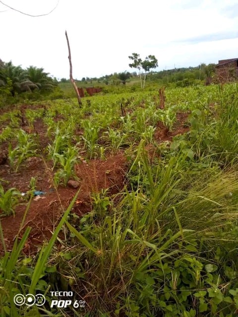 A vendre parcelle à Calavi Akassato