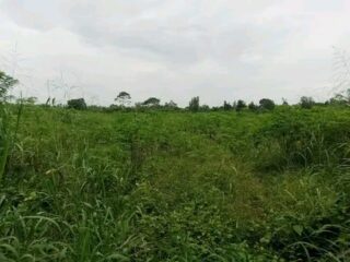 FB_IMG_17208598443175117-2