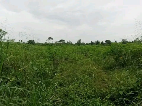 Vendre parcelle à Tori Allada