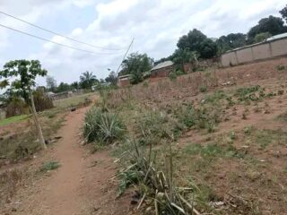 FB_IMG_17208600641554145