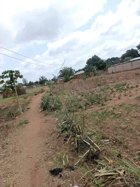 A vendre parcelle à Calavi Bidossessi