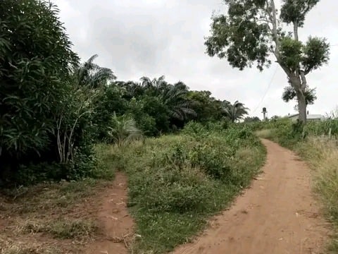 Parcelle à Savi route Ouidah