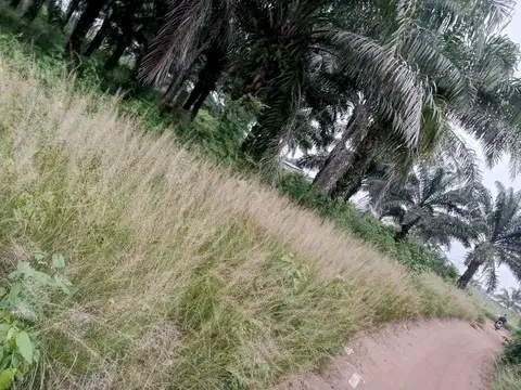 A vendre parcelle à Ouedo Kpossidja