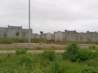 FB_IMG_17219233467141398