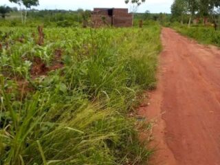 FB_IMG_17208597235535668