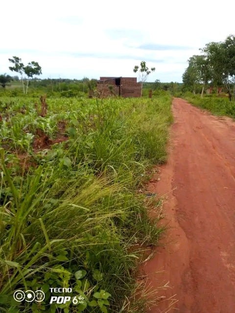 Vendre parcelle à Calavi Togba Hossevié
