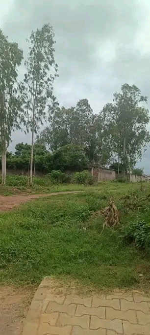 Vendre parcelle à Adounko Bénin