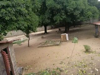 FB_IMG_172139787806264003