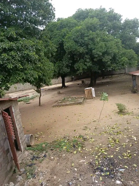 Vendre parcelle à Cotonou Agla casse