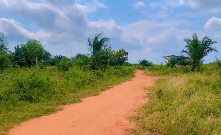 A vendre Hectare à Savi Ouidah