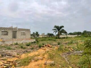 adounko-johnson-9M-1