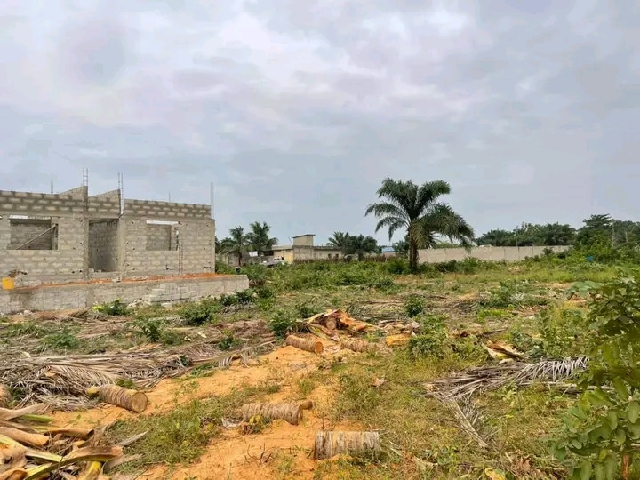 Parcelle à vendre à Ouesse Ouidah