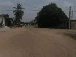 bazounkpa-tfp-angle-2